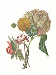 <strong>Bouquet of mixed flowers</strong> | 